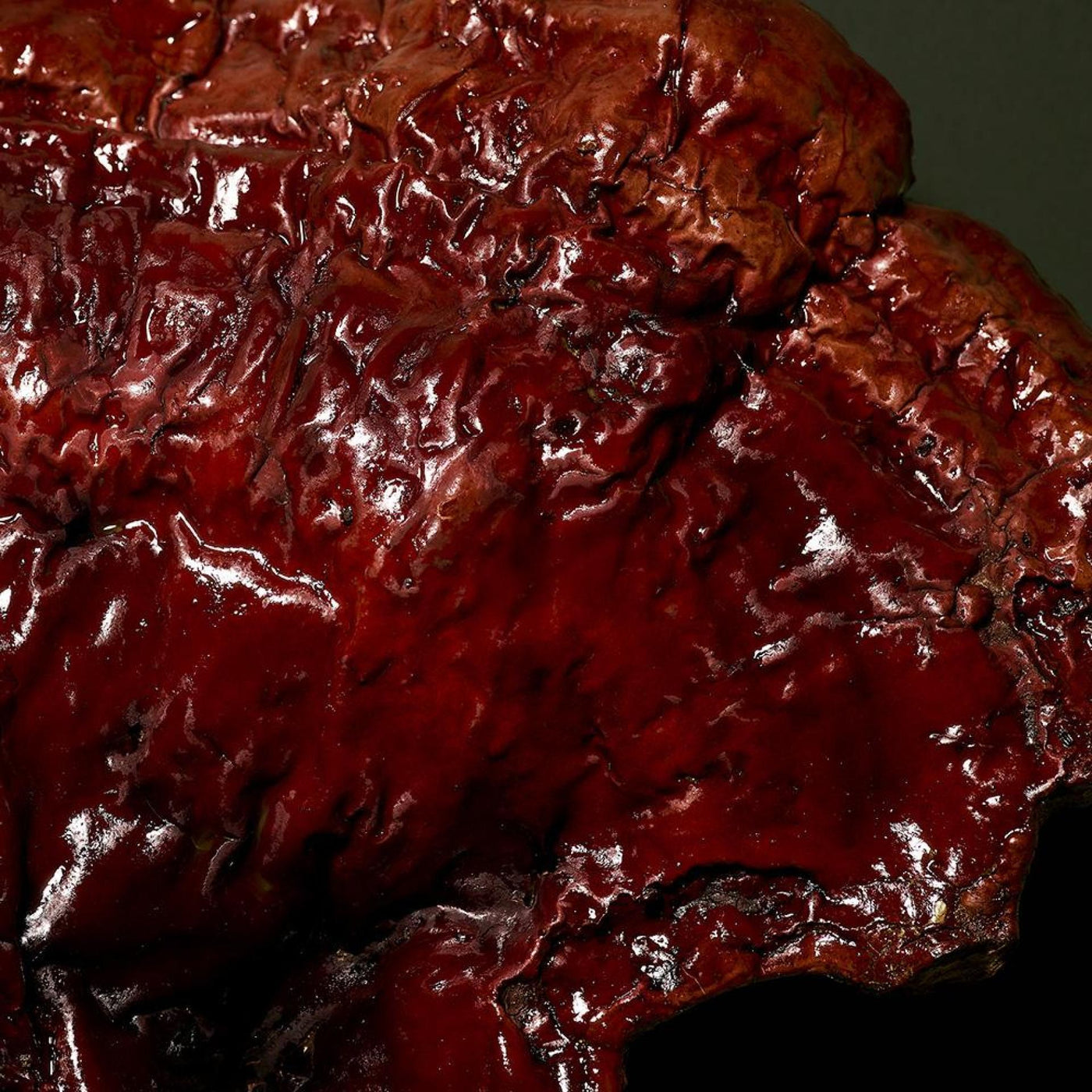 DOCTOR BABOR | MICROBIOMIC | Stress Defense Mushroom Cream