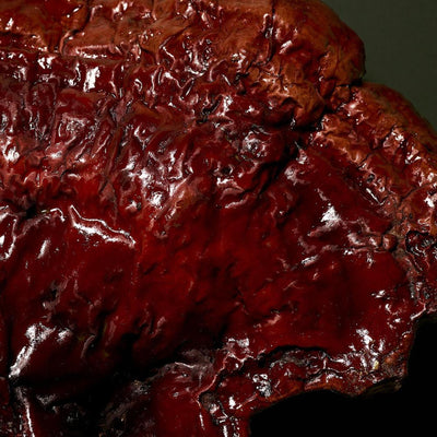 DOCTOR BABOR | MICROBIOMIC | Stress Defense Mushroom Cream